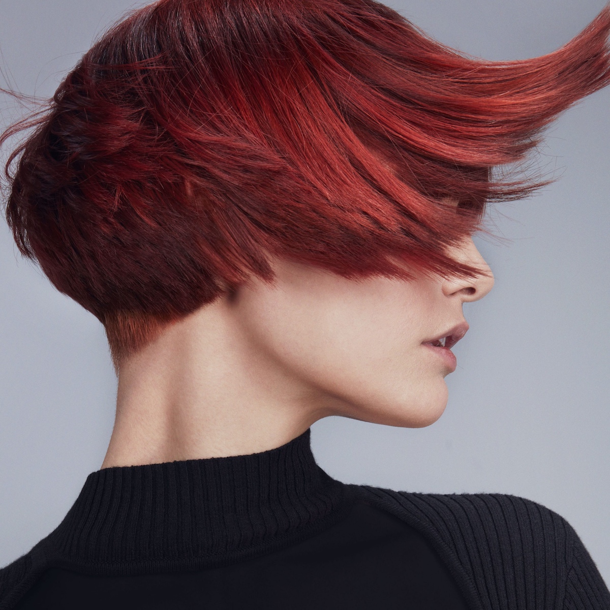 Full_Spectrum_Hair_Color Full_Spectrum_Hair_Color